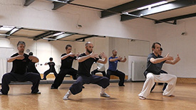 Kung Fu Training Mabu